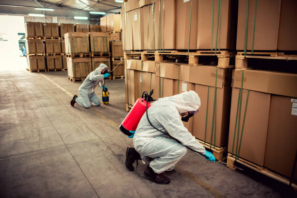Best Affordable Pest Control Services  in Sebree, KY