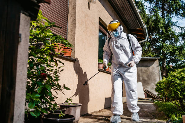 Best Pest Removal Services  in Sebree, KY
