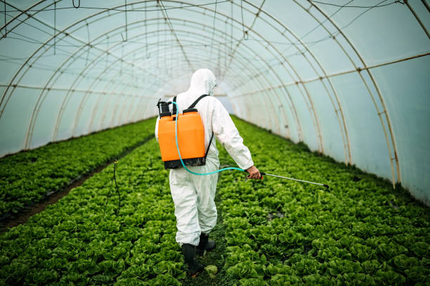 Best Pest Control for Restaurants  in Sebree, KY