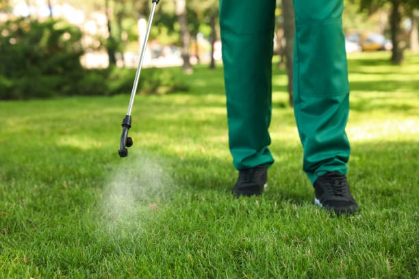 Best Exterminator Services  in Sebree, KY