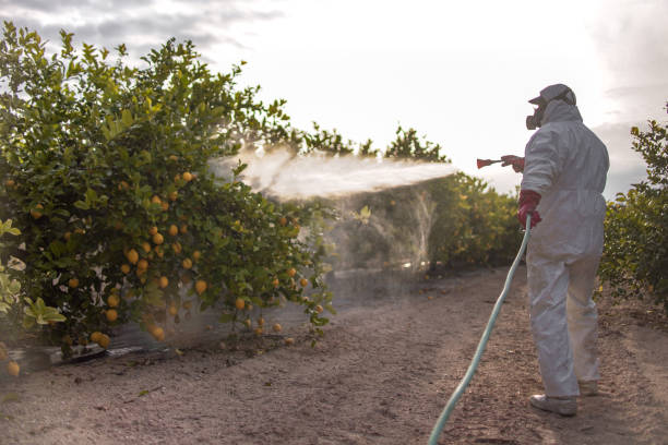 Best Best Pest Control Companies  in Sebree, KY
