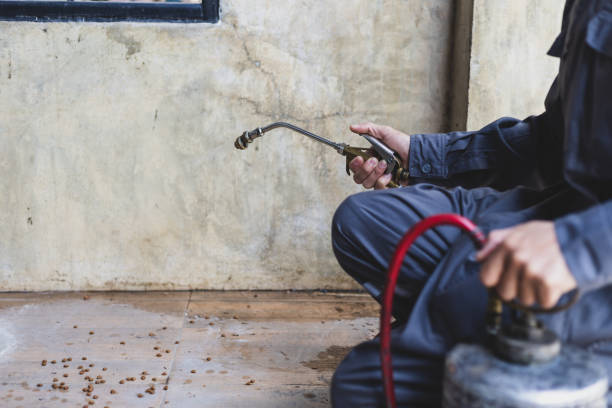 Best Mosquito Control Services  in Sebree, KY